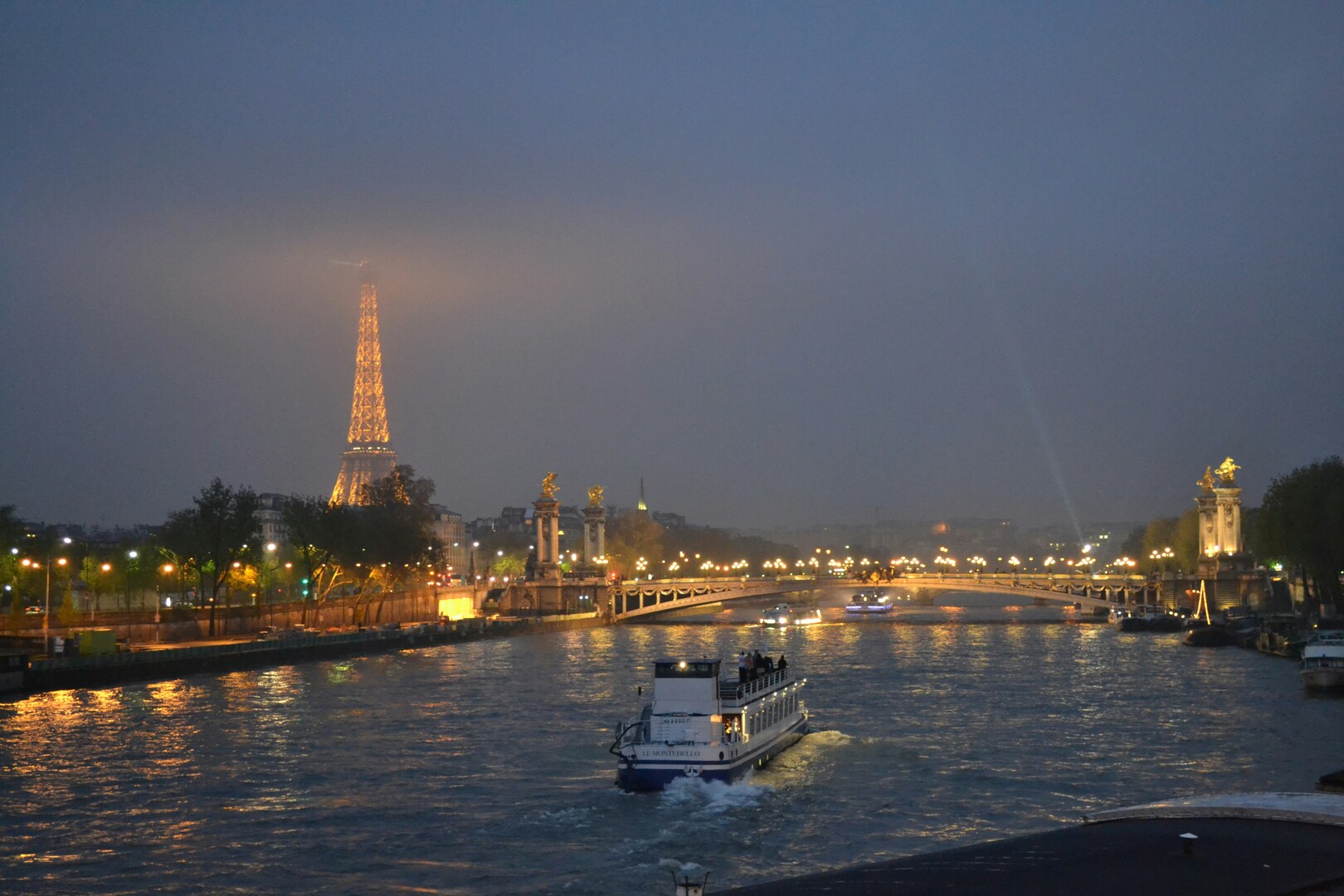 Seine River Cruise with Eiffel Tower Views